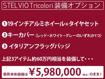 STELVIO Tricolori 装備オプション