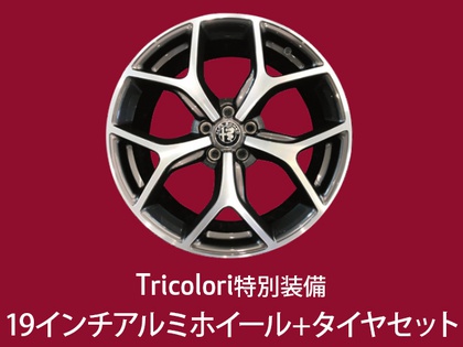 19インチアルミホイール+タイヤセット