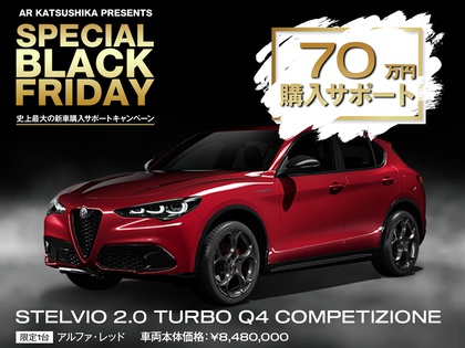 STELVIO COMPETIZIONE